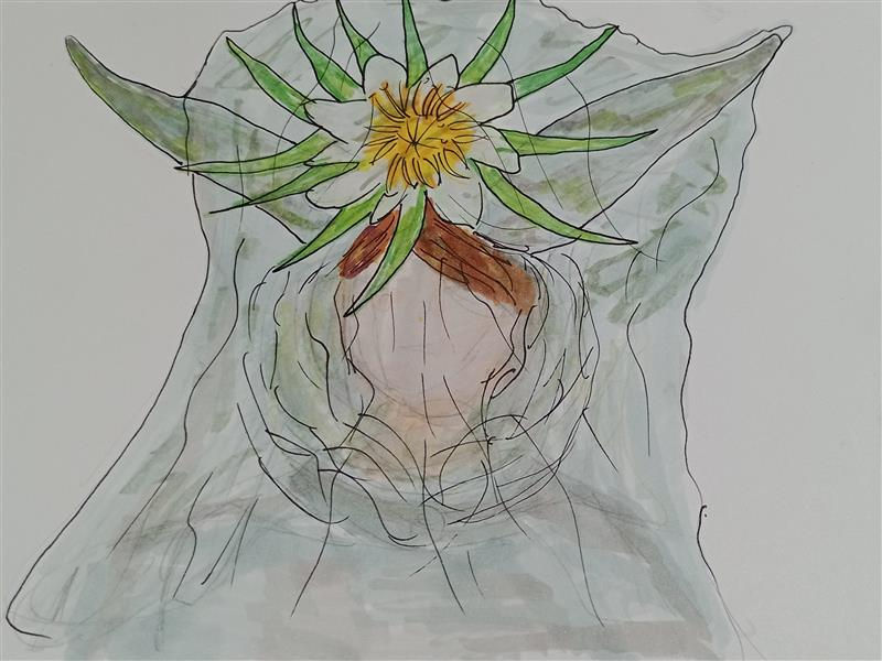 Alcohol marker illustration of a cow inspired headpiece.