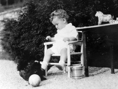 Chapter 5: The Lone Eagle Mourns His Eaglet