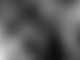 Chapter 4: The Lone Eagle Becomes a National Hero