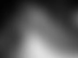 Chapter 7: The Lone Eagle Circles Back Home