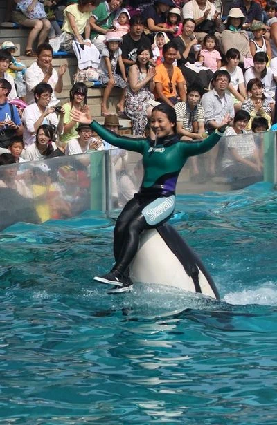 Photo by Kamogawa Sea World