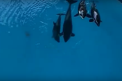 Adan, Skyla, Kohana and Morgan