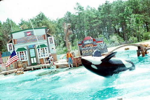 Photo provided by Sara Farrell