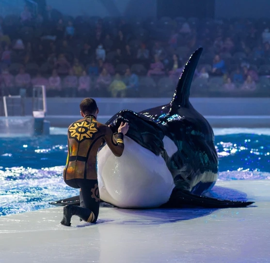 Photo by Moskvarium and/or its trainers