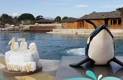 Photo by Marineland Antibes