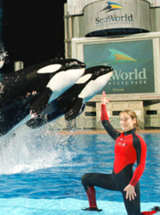 Katina and Taima