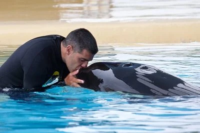 Photo by Loro Parque