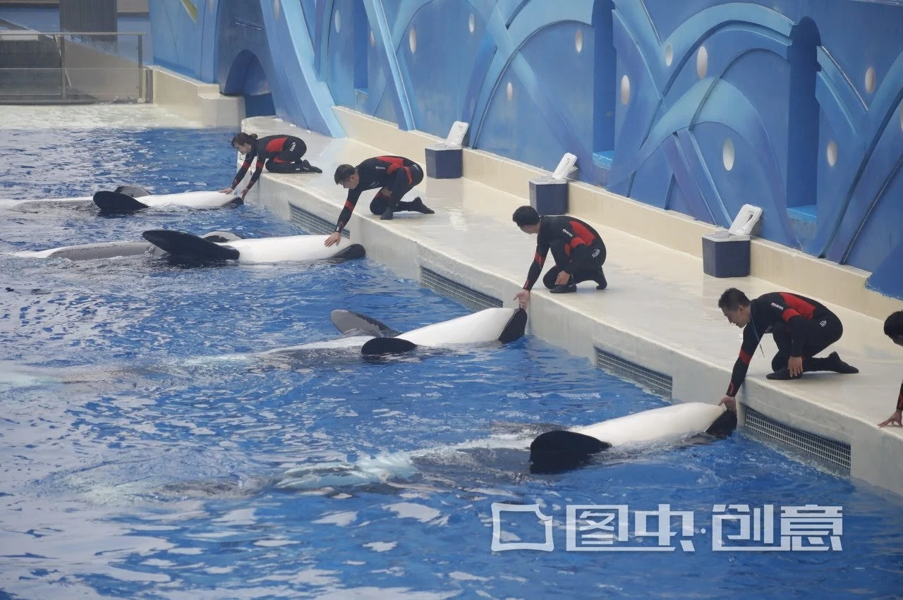 Photo via Weibo