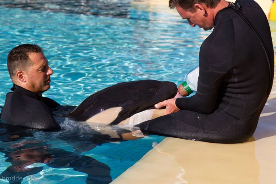 Photo by Loro Parque / photographed by Ulriche Brodde