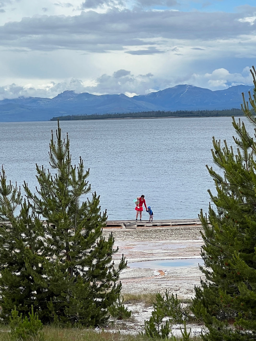 family trip to jackson hole and yellowstone