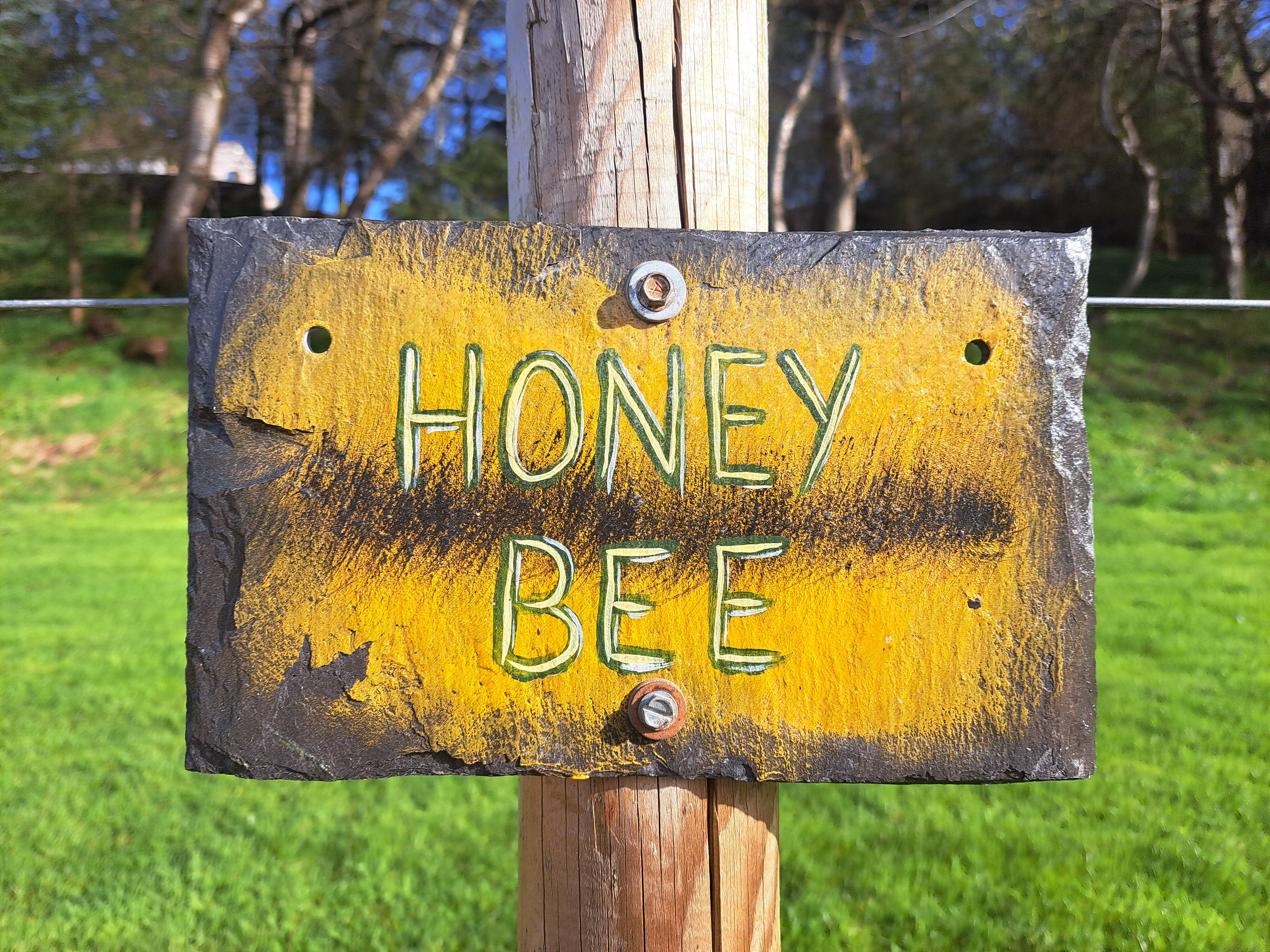 Honey Bee Electric Site
