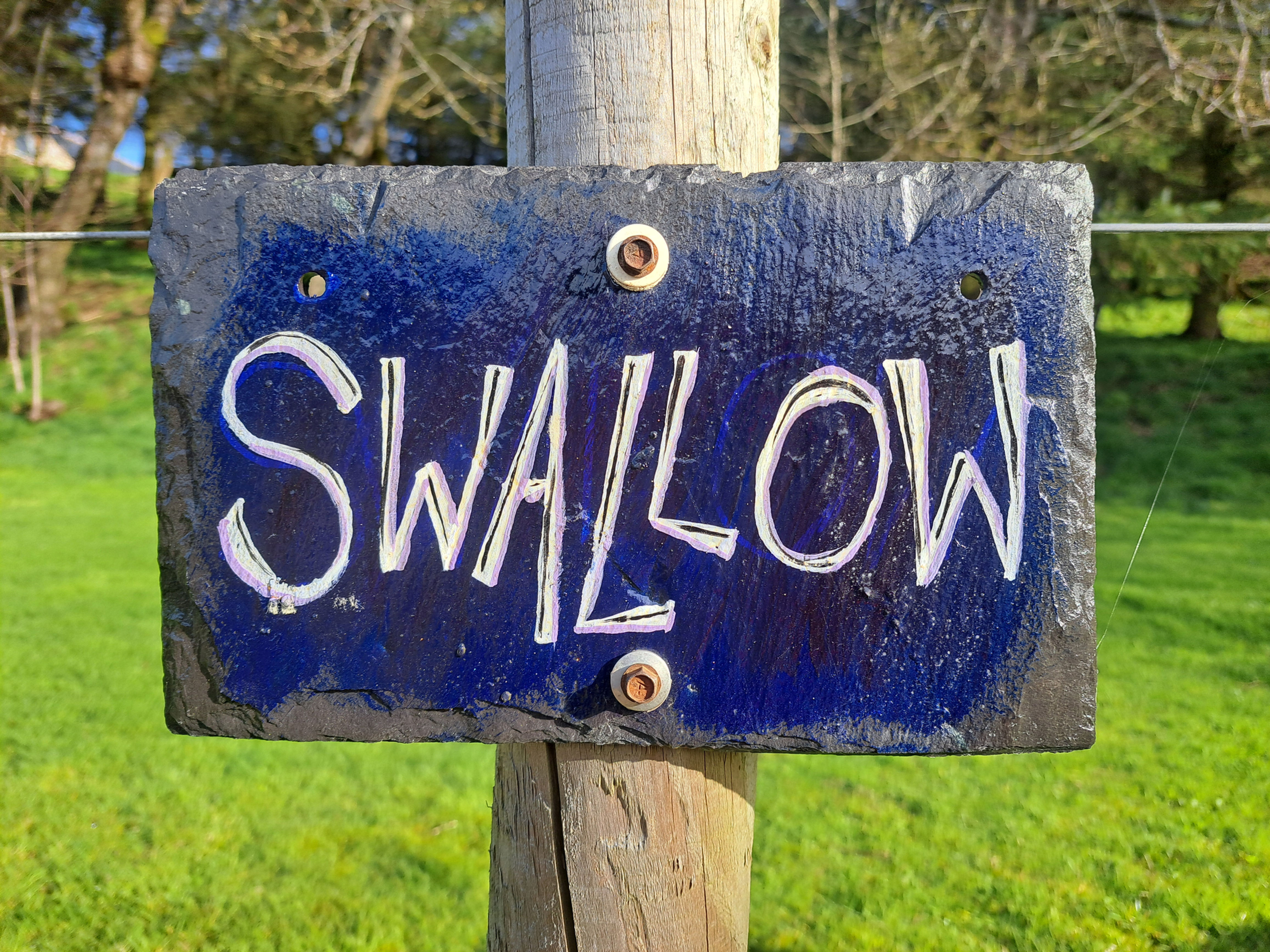 Swallow Electric Site