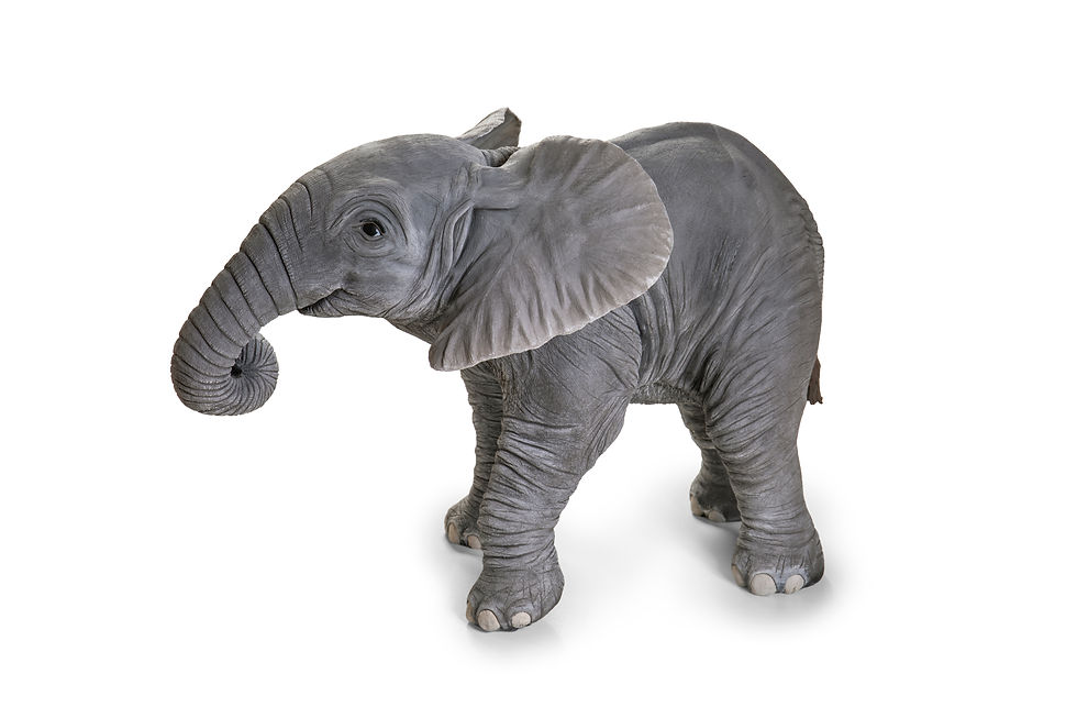 Afrikanischer Elefant - Baby