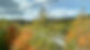 5950E0C3-66B6-4CBC-A4F2-4DF2352FA232_1_105_c.jpeg