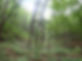 4115C9FA-67CE-4173-832A-8E8572432606_1_105_c.jpeg
