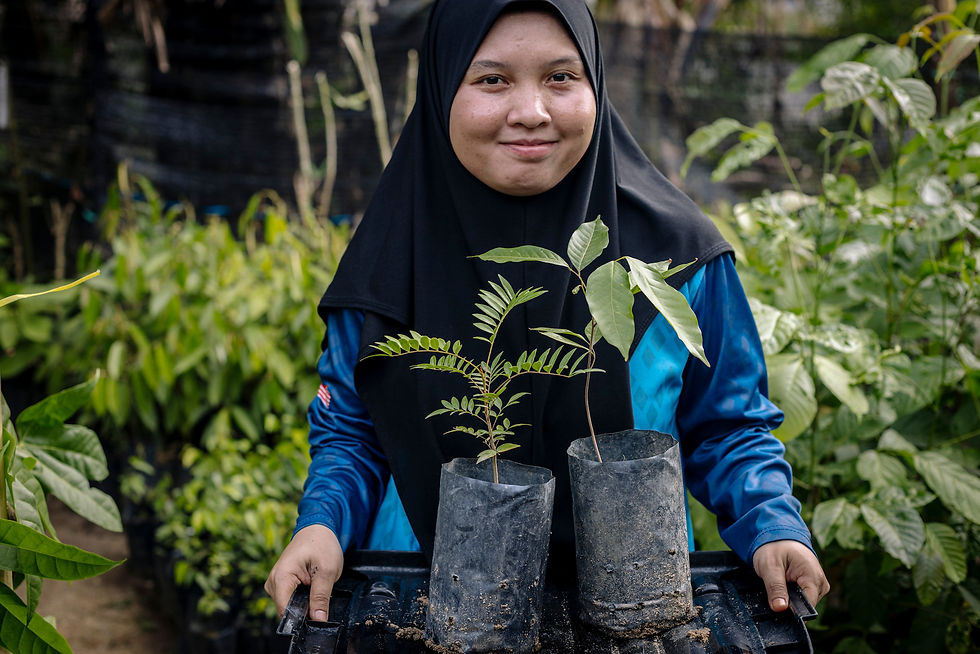 ITEH_KParc FreeTreeSoc_-2240.jpg