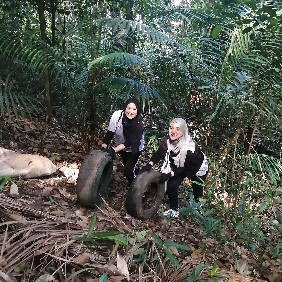 Forest Stewarships rubbish removal.jpg