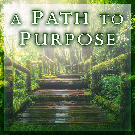 Your Purpose, Path and Goals