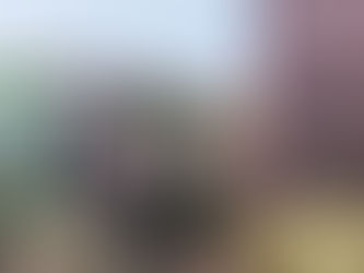 大鳳凰城區15所最佳公立與私立高中榜單