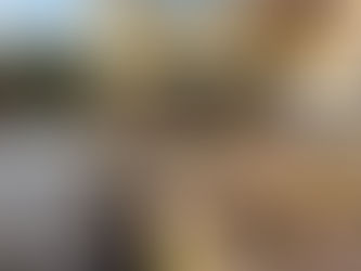 中国到Arizona海运/空运服务,低至¥16人民币/公斤!