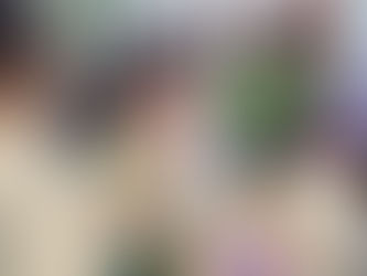 青苹果中文学校周六新开课程:儿童服装设计课
