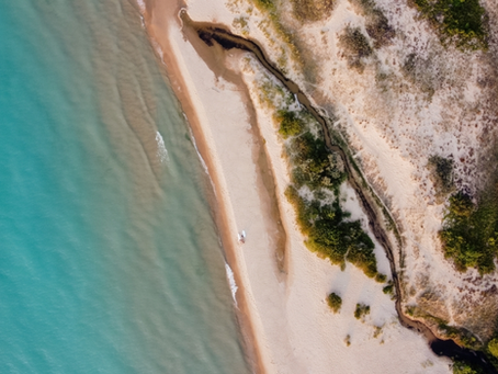 The Surprising Sea Life of Lake Michigan