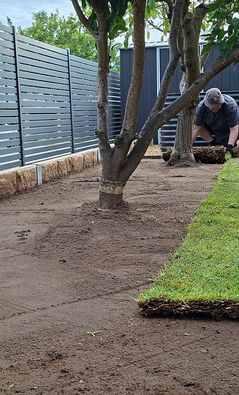 New lawn install