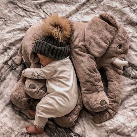 Elephant set