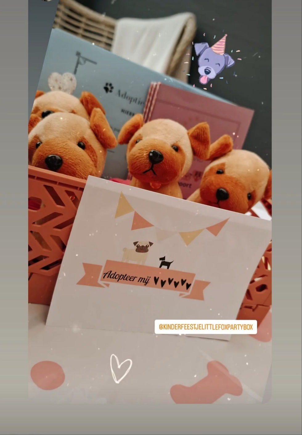 Thumbnail: Kinderfeestje Adopteer een puppy