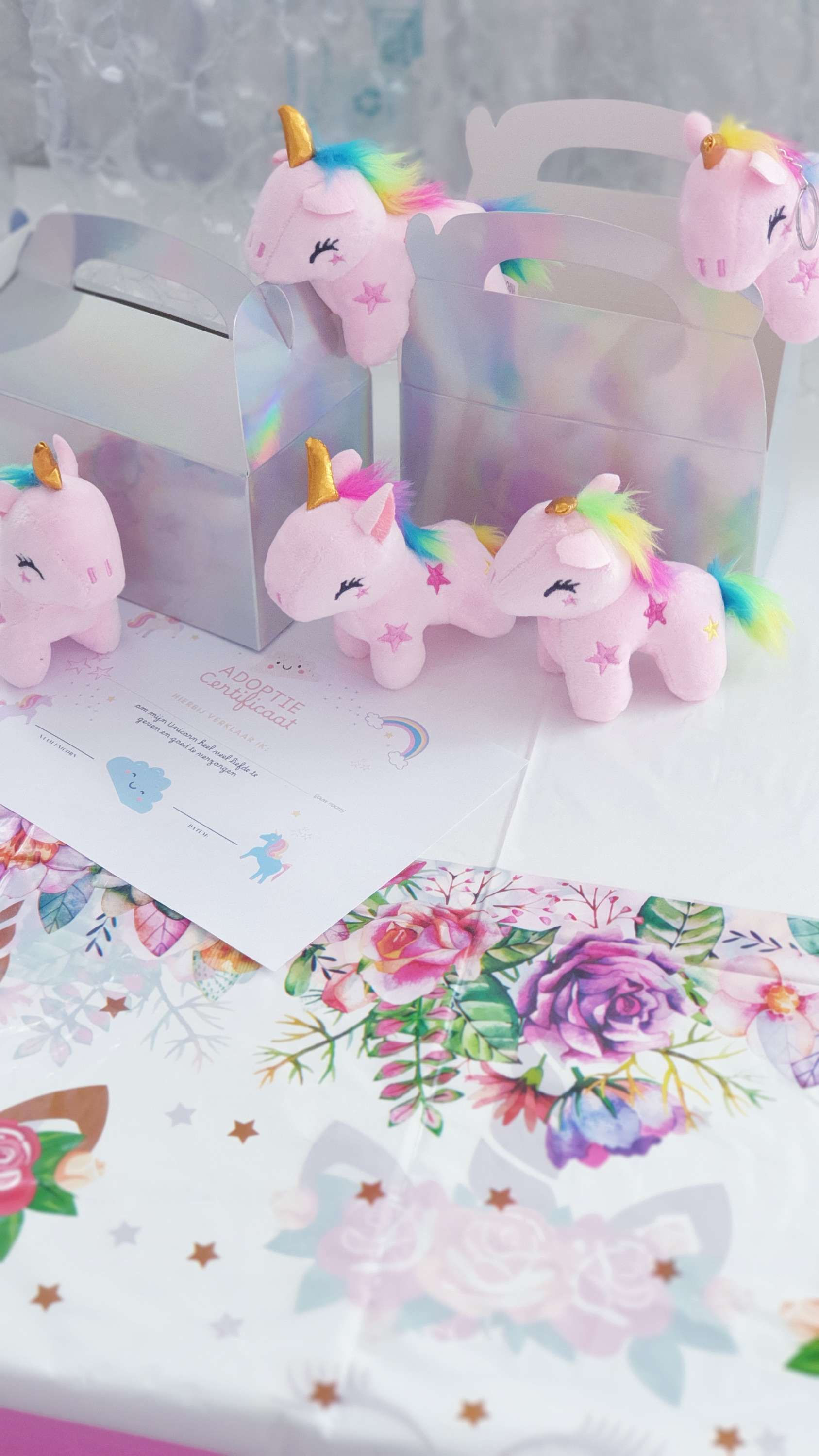 Adopteer een Unicorn kinderfeestje 