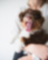 paje-victoria-HAtT_dqRiNI-unsplash (2).jpg