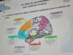 Pour une Gestion optimale du stress