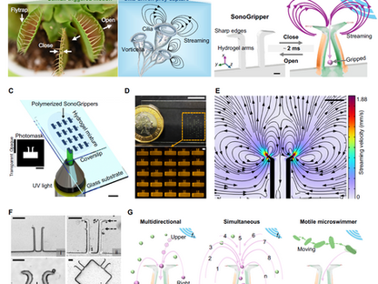 Bioinspired ultrasound-driven ultrafast soft microgripper