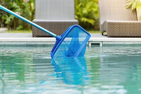 pool-kescher