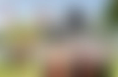 ประกาศวันหยุดประเพณีสงกรานต์ 12-16/4/2561