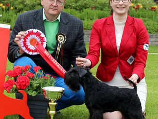 Ebba Best In Show veteran
