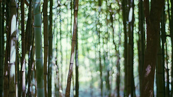 SLEEP VISUALIZATION - CALMING COLORS.jpg