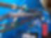 h1.png
