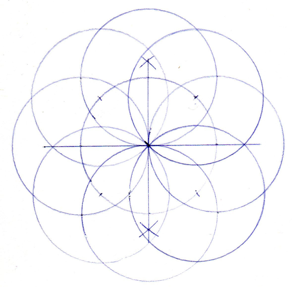 How to draw a four and eight petalled flower using geometry