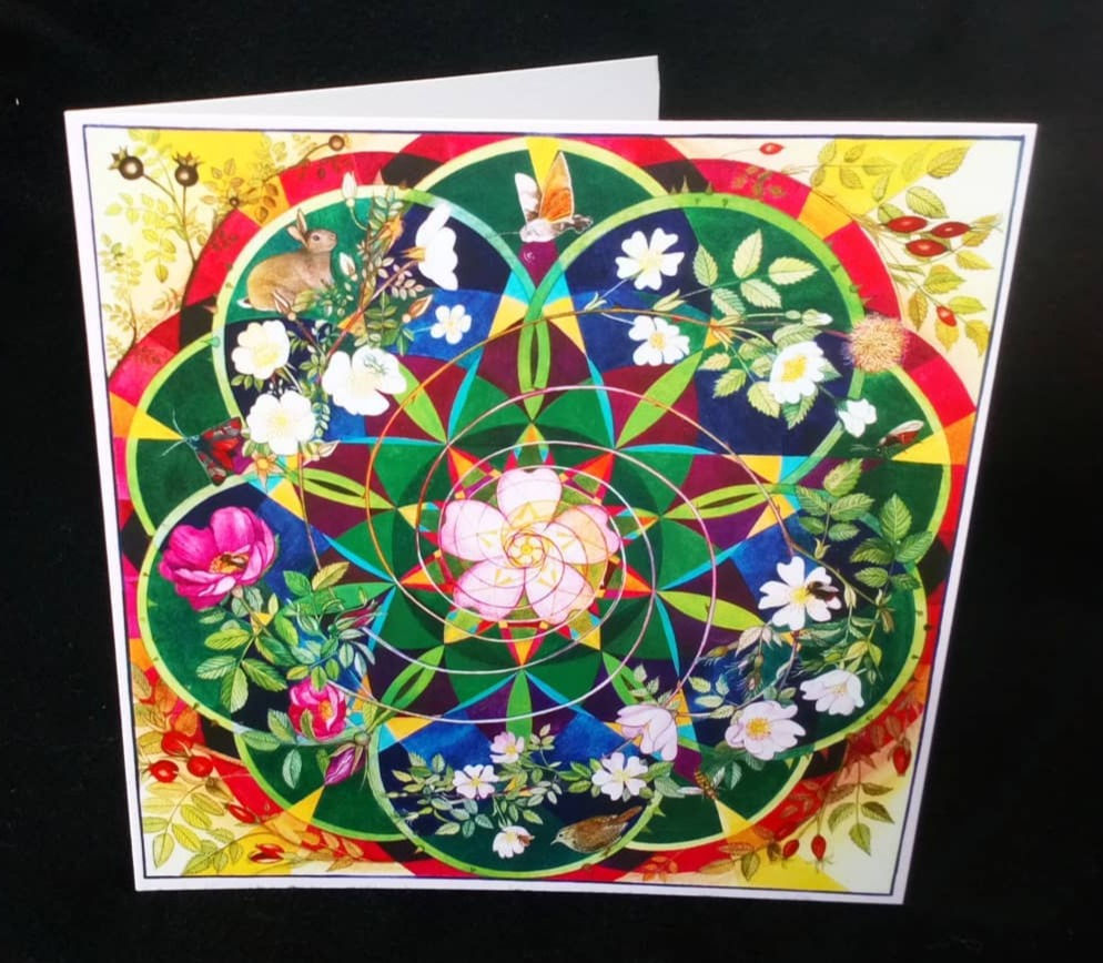 Wild Roses  - Greetings Card