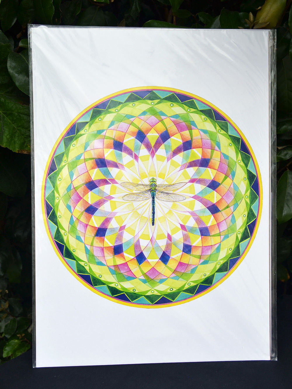 Emerging - Large Art Print