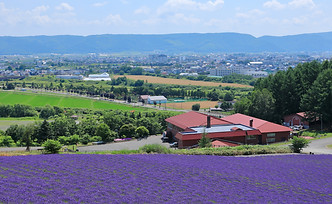 富良野ワイナリー.jpg