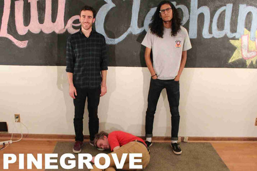 Pinegrove レコード Skylight | Pinegrove