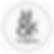 white circle.png