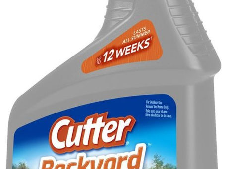 How To Repel Groundhogs - Read Expert Tips Here