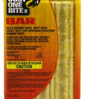 How To Get Rid Of Groundhogs In Garden - Read Expert Tips Here