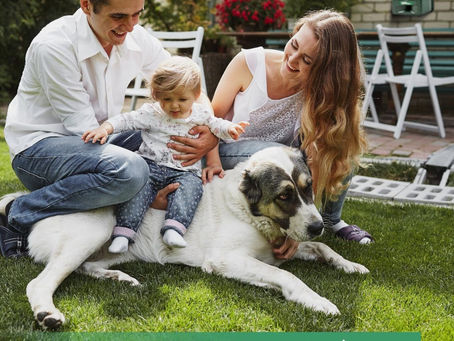 Deer Repellent Ultrasonic Repeller