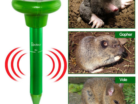 Ultrasonic Groundhog Repellent - Read Expert Tips Here
