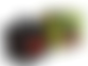 Keeping Groundhogs Out Of Vegetable Garden - Read Expert Tips Here