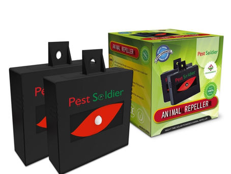 Keeping Groundhogs Out Of Vegetable Garden - Read Expert Tips Here